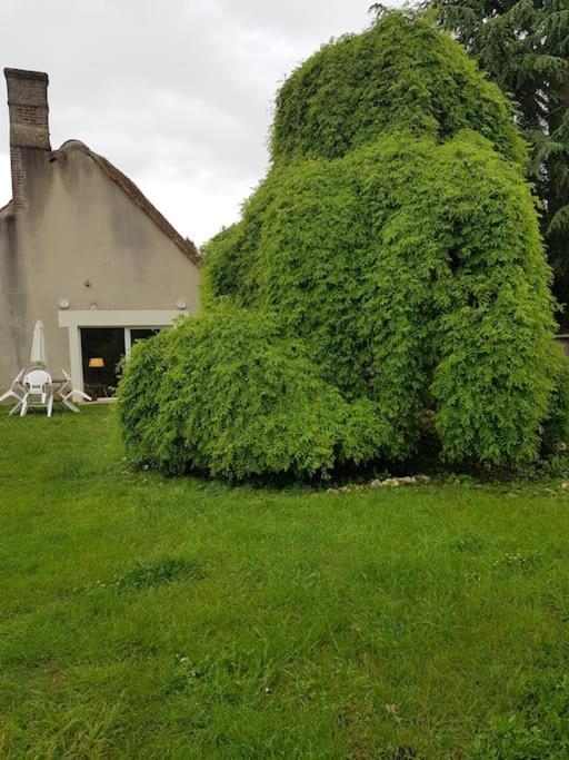 Chaumiere Avec Sa Toiture Recouverte De Chaume !!! Donnemain-Saint-Mames Екстериор снимка