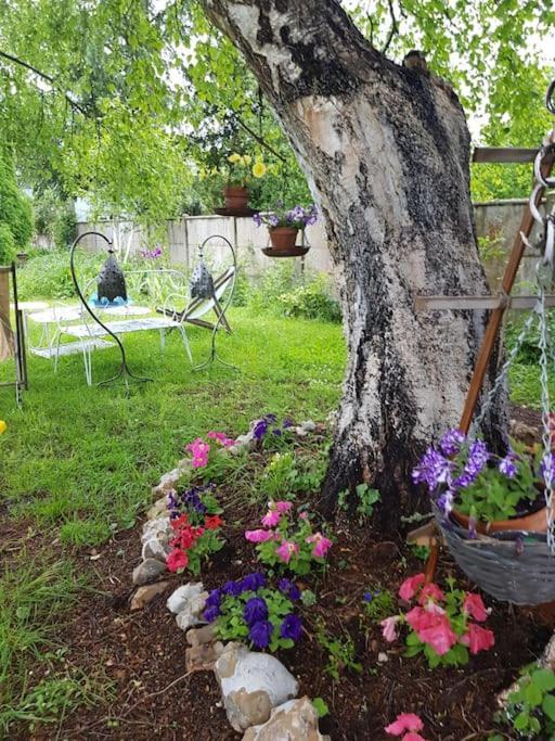 Chaumiere Avec Sa Toiture Recouverte De Chaume !!! Donnemain-Saint-Mames Екстериор снимка